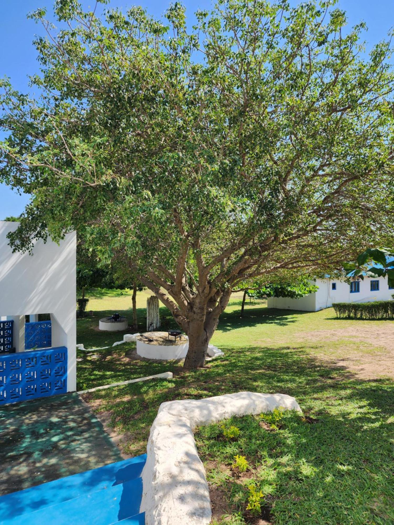 Serenity Nhabanga, Bilene Vila Praia Do Bilene Exterior photo